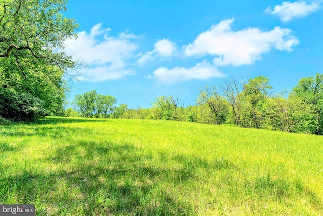 view of local wilderness featuring rural landscape