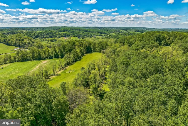 aerial view of a forest