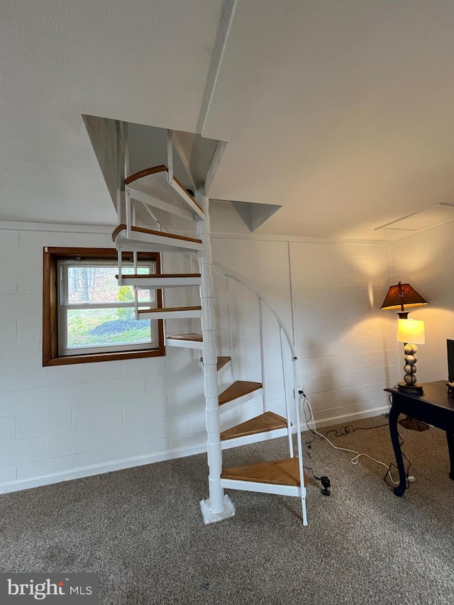 staircase featuring concrete block wall and carpet