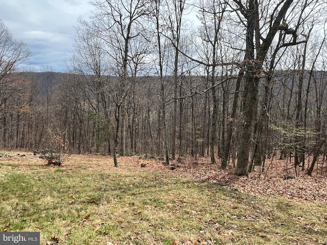 view of nature featuring a wooded view