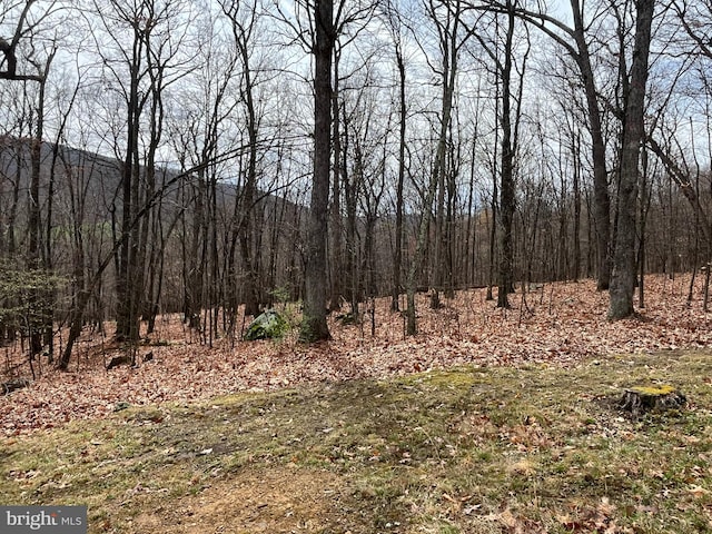 view of nature with a wooded view