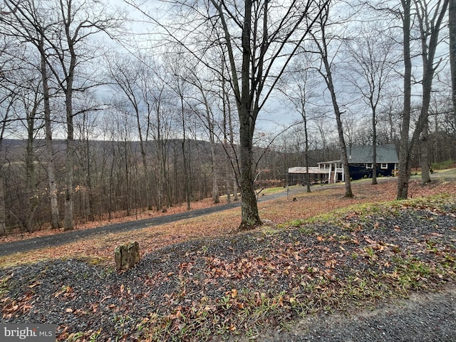 view of yard with a forest view