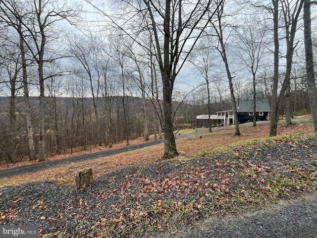 view of yard featuring a wooded view