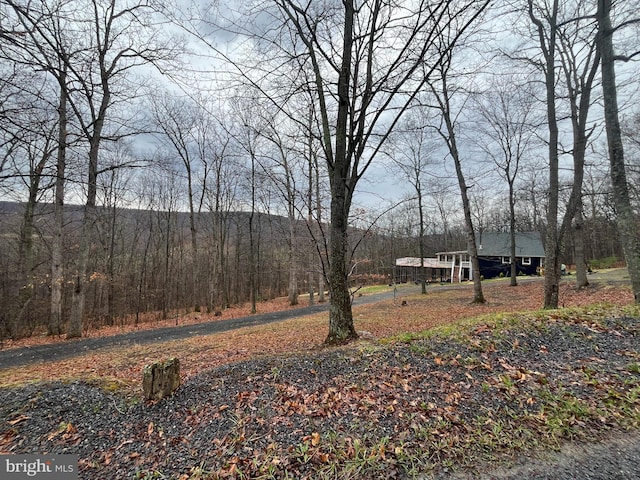 view of yard with a view of trees