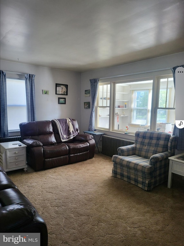 carpeted living room with radiator and plenty of natural light