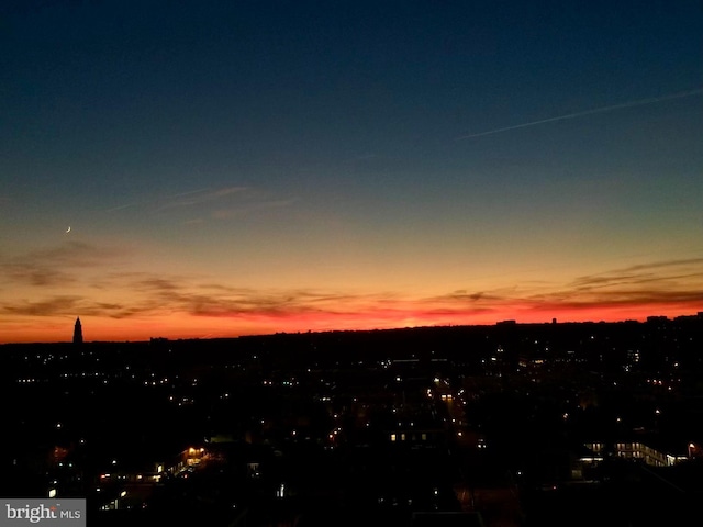400 Madison St Unit 1704, Alexandria, VA 22314 - nature at dusk with a city view