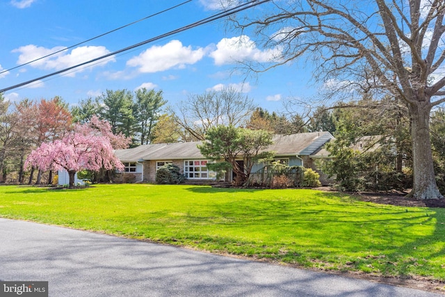 view of front of property with a front lawn