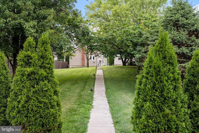 306 W Chapline St, Sharpsburg, MD 21782 - view of yard