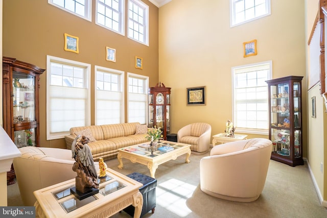 5 Susannah Dr, Chesterfield, NJ 08515 - living room featuring carpet flooring, baseboards, a high ceiling, and a wealth of natural light