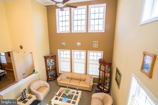 5 Susannah Dr, Chesterfield, NJ 08515 - carpeted living area with a high ceiling and a ceiling fan
