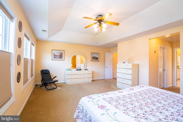 5 Susannah Dr, Chesterfield, NJ 08515 - bedroom with a tray ceiling, attic access, carpet flooring, baseboards, and visible vents