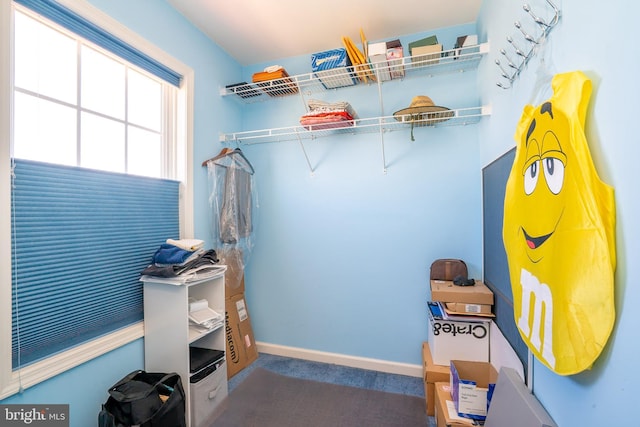 5 Susannah Dr, Chesterfield, NJ 08515 - view of storage room