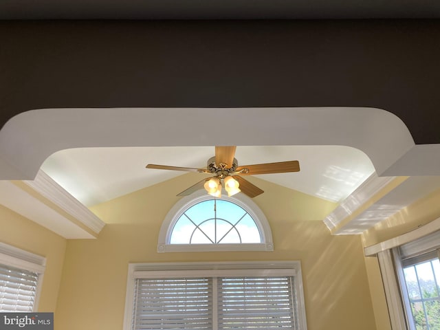 details with a ceiling fan