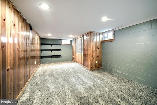 14 Longview Rd, Seven Valleys, PA 17360 - below grade area with wood walls, concrete block wall, and carpet