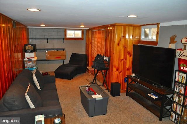 14 Longview Rd, Seven Valleys, PA 17360 - living room featuring carpet flooring and concrete block wall