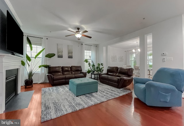 living room featuring wood-type flooring, ceiling fan with notable chandelier, a fireplace with flush hearth, and a healthy amount of sunlight