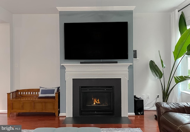 room details with a fireplace with flush hearth, baseboards, and wood finished floors