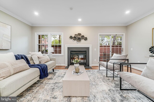 3568 S George Mason Dr Unit 12, Alexandria, VA 22302 - living room featuring ornamental molding, wood finished floors, and recessed lighting