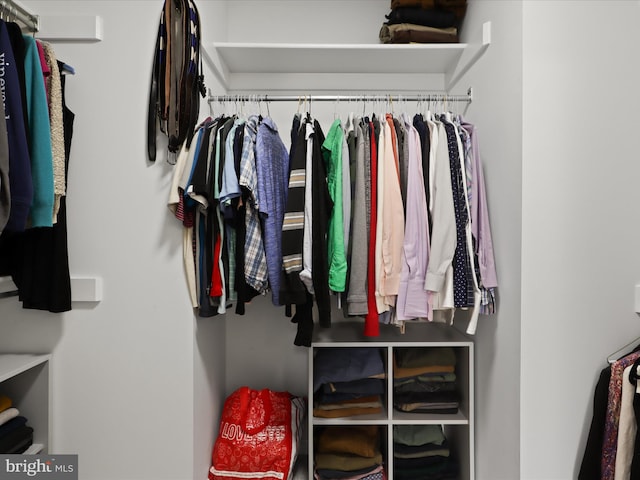 view of spacious closet