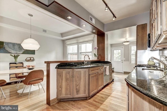 kitchen featuring a sink, stainless steel dishwasher, light wood finished floors, dark stone countertops, and wainscoting
