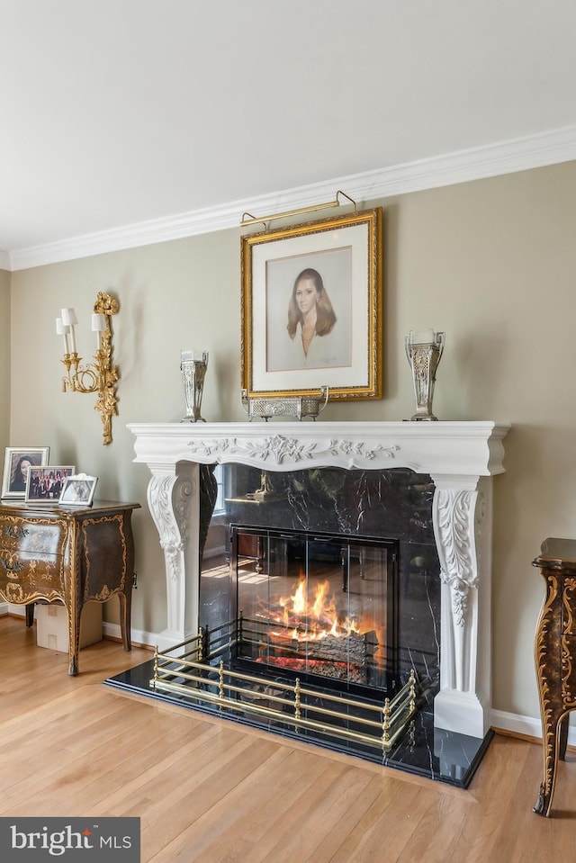 details with crown molding, baseboards, wood finished floors, and a fireplace