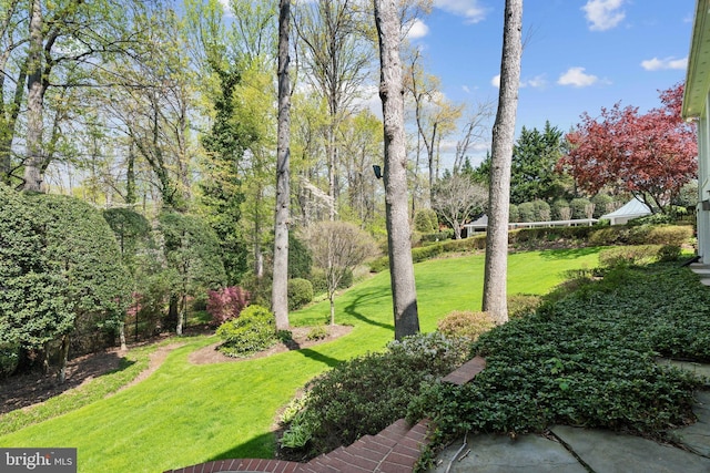 view of yard