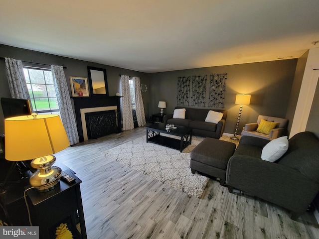 living area featuring wood finished floors and a fireplace