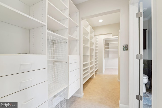 264 Capote Ct E, Severna Park, MD 21146 - walk in closet featuring light colored carpet