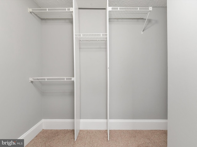 13347 Demetrias Way W, Germantown, MD 20874 - view of closet