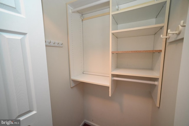 view of walk in closet