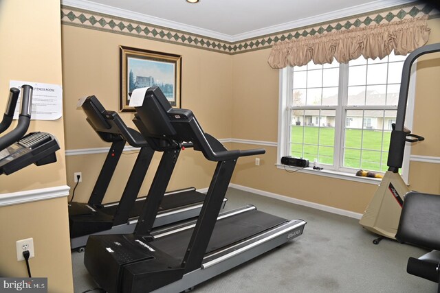 workout room featuring baseboards, carpet, and ornamental molding