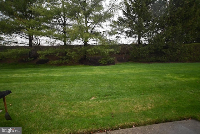 view of yard