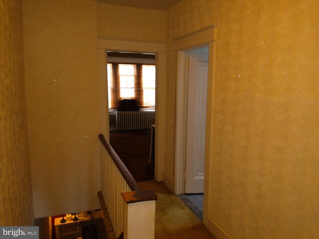 6812 Sprague St, Philadelphia, PA 19119 - corridor with carpet floors and an upstairs landing