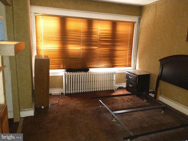6812 Sprague St, Philadelphia, PA 19119 - bedroom with carpet flooring and radiator