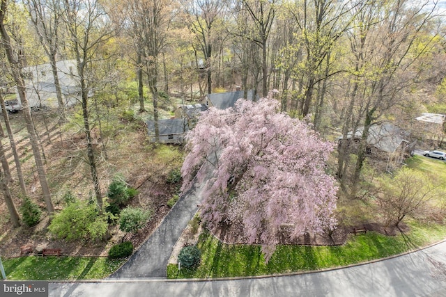 drone / aerial view