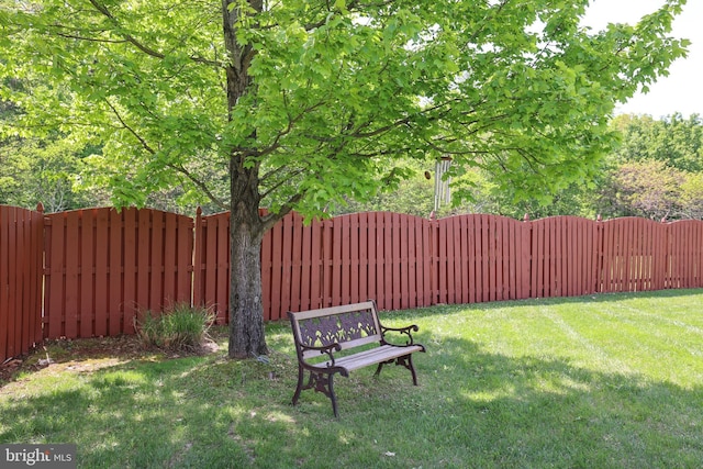view of yard with a fenced backyard