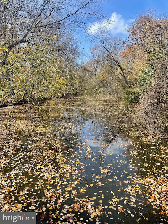 6219 Beachway Dr, Falls Church, VA 22041 - water view