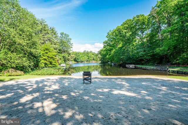 6219 Beachway Dr, Falls Church, VA 22041 - view of property's community with a forest view and a water view