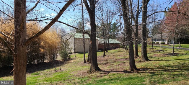 517 Monocacy Hl, Birdsboro, PA 19508 - view of yard