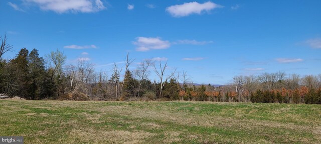 517 Monocacy Hl, Birdsboro, PA 19508 - view of local wilderness featuring a wooded view