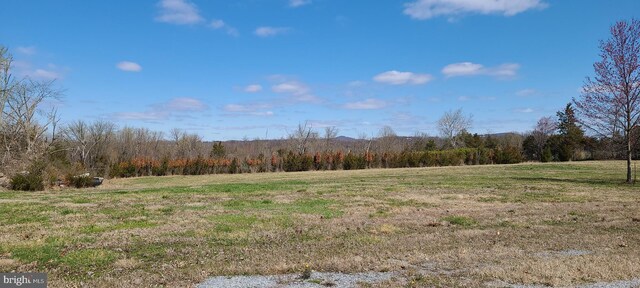 517 Monocacy Hl, Birdsboro, PA 19508 - view of nature with a rural view and a forest view