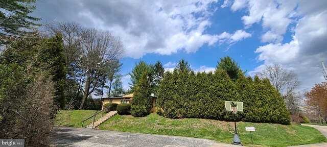 517 Monocacy Hl, Birdsboro, PA 19508 - view of side of property with a lawn