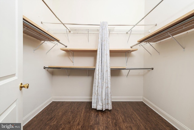 walk in closet featuring wood finished floors