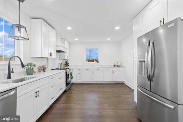 kitchen featuring a sink, a wealth of natural light, appliances with stainless steel finishes, and dark wood-style floors