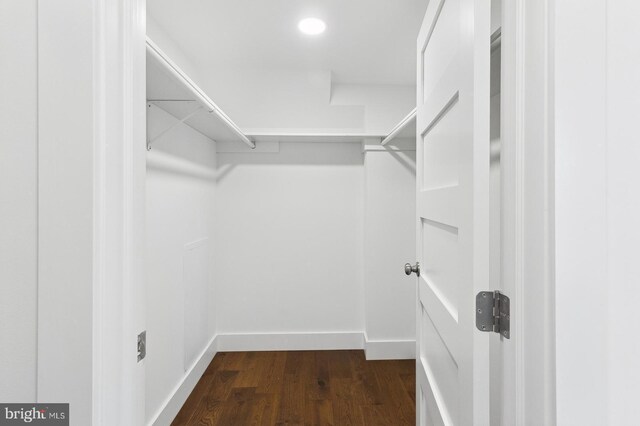 spacious closet featuring dark wood-style flooring
