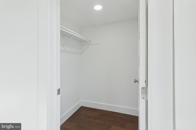 walk in closet with dark wood-type flooring