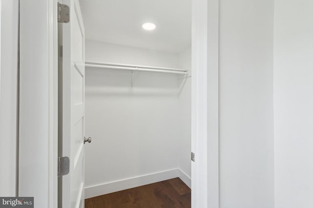 spacious closet with dark wood-style floors