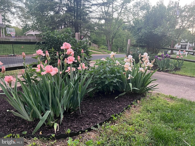 8606 London Ct, Springfield, VA 22151 - view of yard