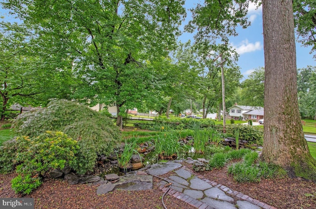 6901 Niles Dr, Laurel, MD 20707 - view of yard