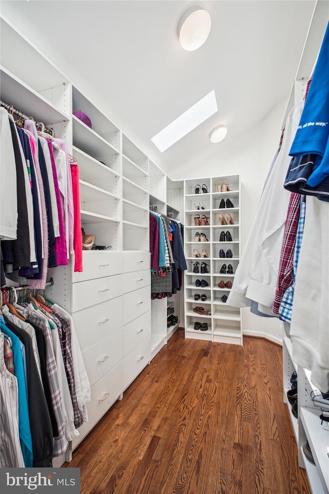 spacious closet featuring wood finished floors and a skylight